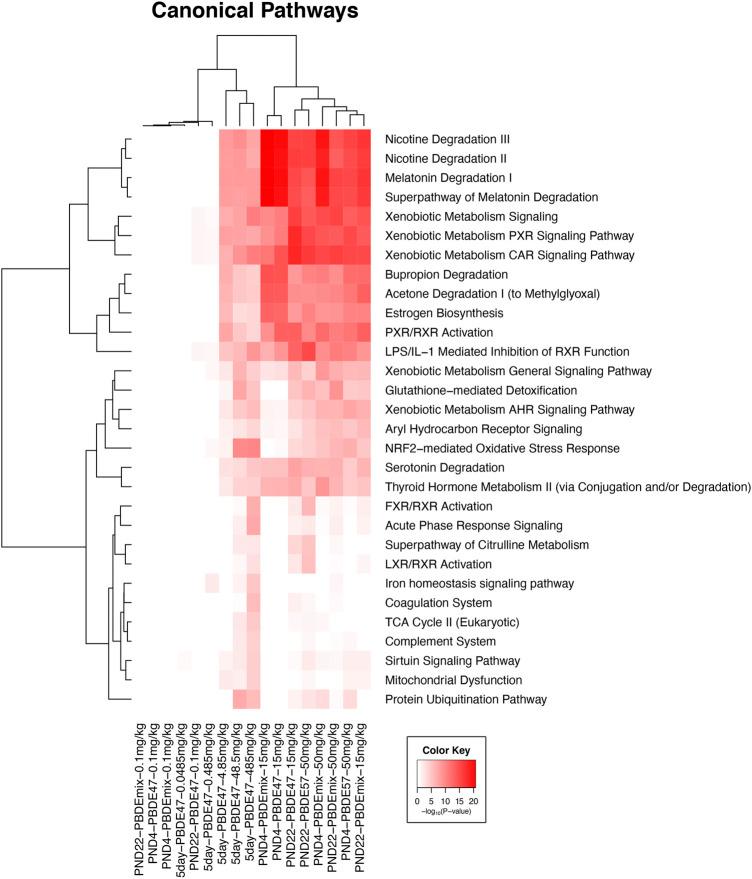https://cdn.ncbi.nlm.nih.gov/pmc/blobs/cb7f/9847571/cd8a8011be87/ftox-04-1028309-g001.jpg