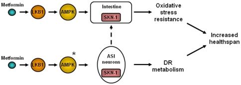 https://cdn.ncbi.nlm.nih.gov/pmc/blobs/cb80/2807458/7980889ce852/pone.0008758.g005.jpg