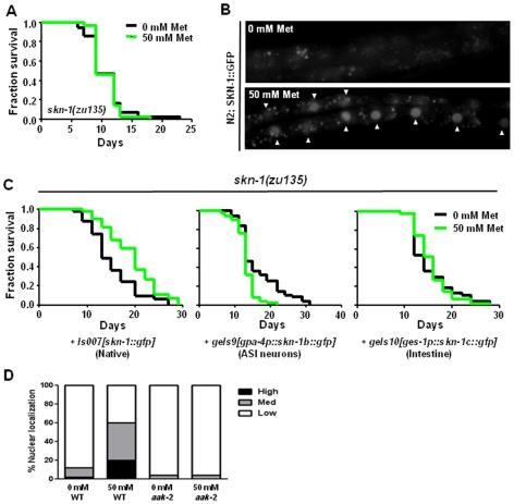 https://cdn.ncbi.nlm.nih.gov/pmc/blobs/cb80/2807458/904478bf731f/pone.0008758.g004.jpg