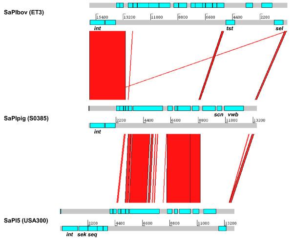 https://cdn.ncbi.nlm.nih.gov/pmc/blobs/cb80/2900268/712a91ac272c/1471-2164-11-376-3.jpg