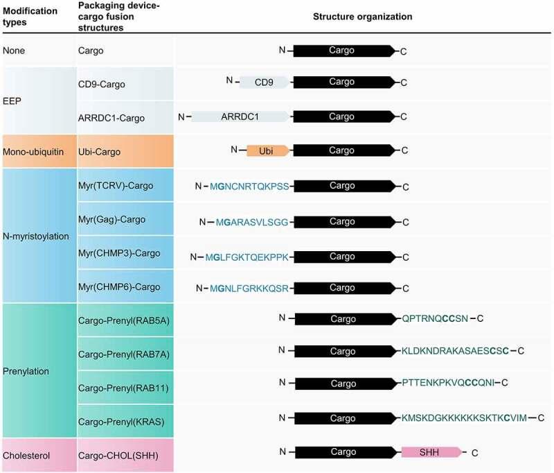 https://cdn.ncbi.nlm.nih.gov/pmc/blobs/cb80/8973635/61a394a4b9b6/KBIE_A_2030571_F0001_OC.jpg