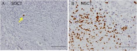 https://cdn.ncbi.nlm.nih.gov/pmc/blobs/cb82/5116192/f6faf193fef3/12885_2016_2926_Fig1_HTML.jpg