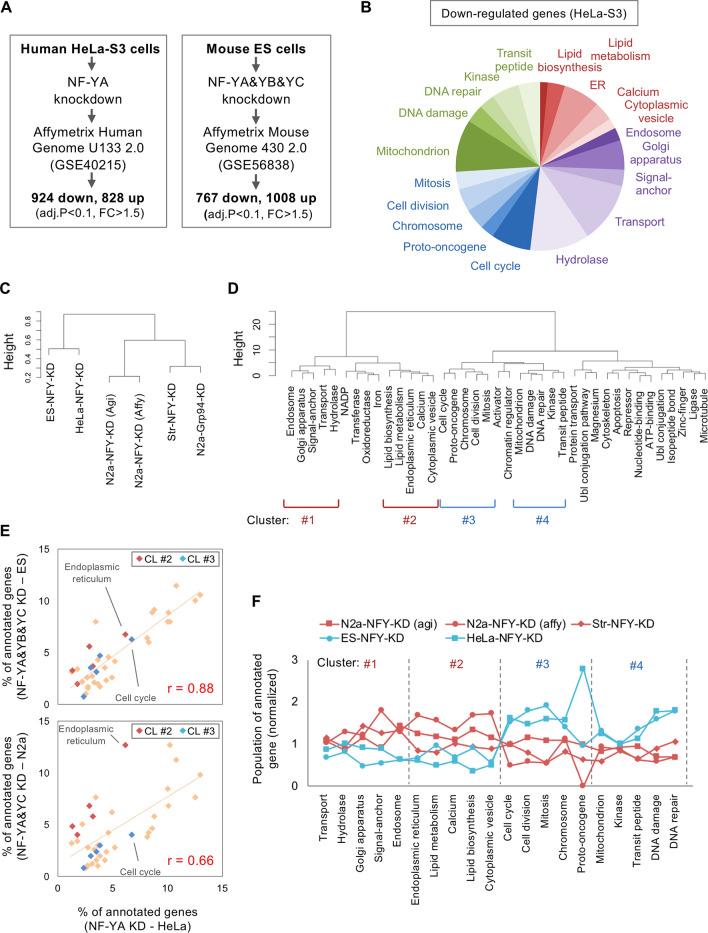 https://cdn.ncbi.nlm.nih.gov/pmc/blobs/cb82/7728767/56d4d4f64a4a/41598_2020_78682_Fig4_HTML.jpg
