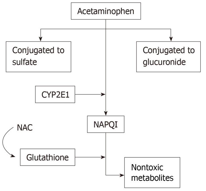 https://cdn.ncbi.nlm.nih.gov/pmc/blobs/cb84/7336293/5a2b6b3844fb/WJH-12-125-g001.jpg