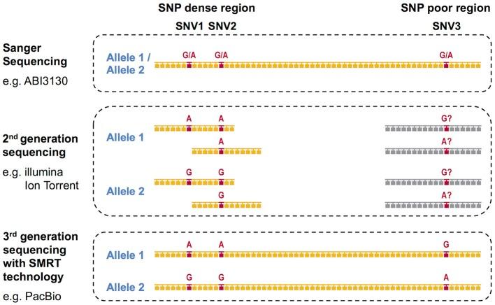https://cdn.ncbi.nlm.nih.gov/pmc/blobs/cb86/6180199/ef708154a1a2/fimmu-09-02294-g0001.jpg