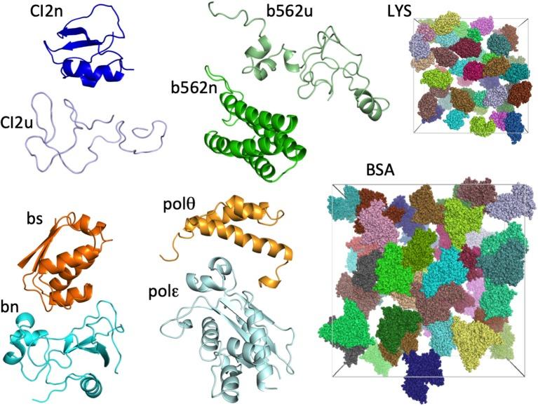 https://cdn.ncbi.nlm.nih.gov/pmc/blobs/cb86/6549383/87d084abb70c/fmolb-06-00039-g0001.jpg
