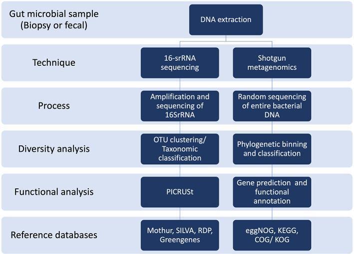 https://cdn.ncbi.nlm.nih.gov/pmc/blobs/cb87/10230107/1d325efe9e69/JGH3-7-337-g004.jpg