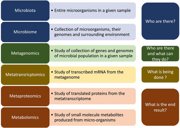 https://cdn.ncbi.nlm.nih.gov/pmc/blobs/cb87/10230107/942ae5df358a/JGH3-7-337-g002.jpg