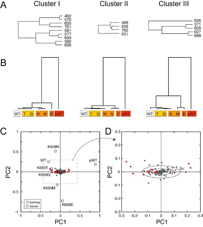 https://cdn.ncbi.nlm.nih.gov/pmc/blobs/cb88/5293489/03663db4338a/elife-21137-fig9-figsupp2.jpg