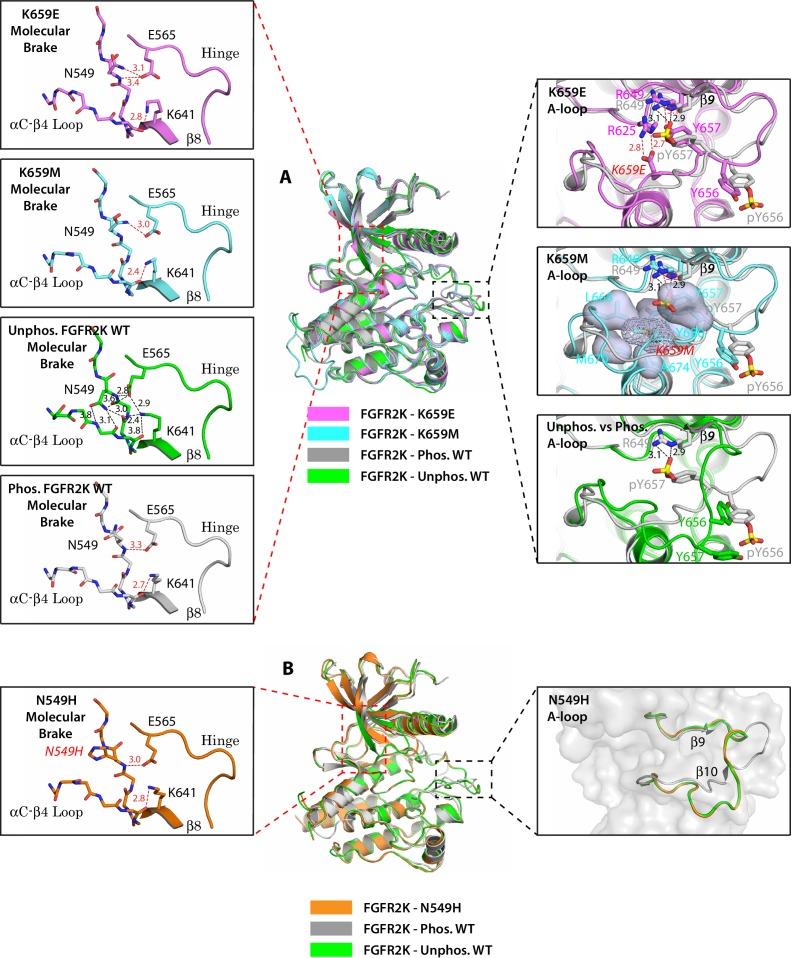https://cdn.ncbi.nlm.nih.gov/pmc/blobs/cb88/5293489/394de676b294/elife-21137-fig1.jpg