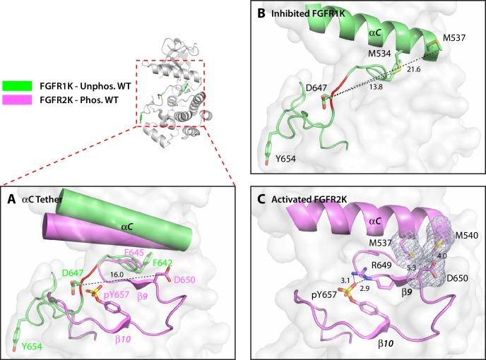 https://cdn.ncbi.nlm.nih.gov/pmc/blobs/cb88/5293489/5dc70b445136/elife-21137-fig5.jpg