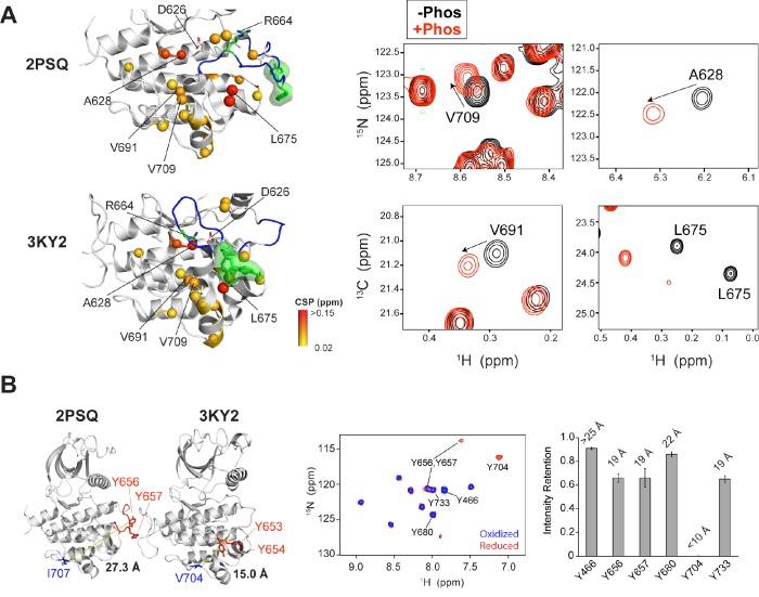 https://cdn.ncbi.nlm.nih.gov/pmc/blobs/cb88/5293489/a78a172d8499/elife-21137-fig2-figsupp1.jpg