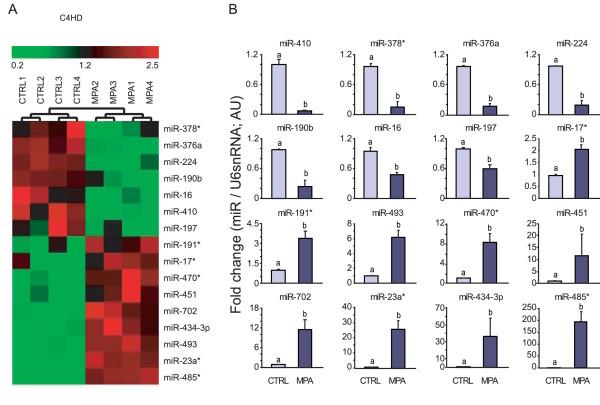 https://cdn.ncbi.nlm.nih.gov/pmc/blobs/cb89/3446340/2cc67e37a174/bcr3187-1.jpg