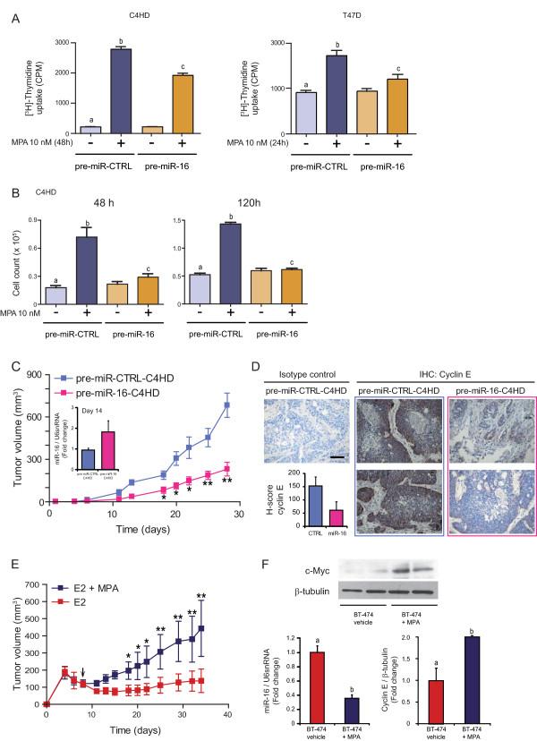 https://cdn.ncbi.nlm.nih.gov/pmc/blobs/cb89/3446340/4e44fc01cd90/bcr3187-5.jpg