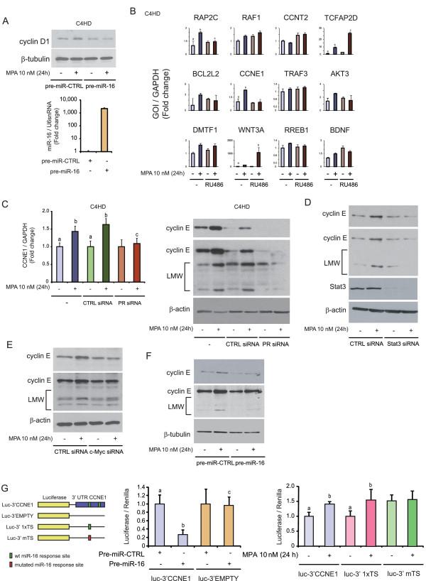 https://cdn.ncbi.nlm.nih.gov/pmc/blobs/cb89/3446340/c31dd01a83f3/bcr3187-4.jpg