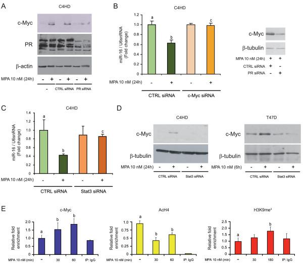 https://cdn.ncbi.nlm.nih.gov/pmc/blobs/cb89/3446340/fa74becc40d7/bcr3187-3.jpg