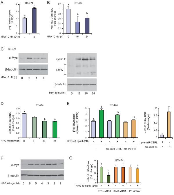 https://cdn.ncbi.nlm.nih.gov/pmc/blobs/cb89/3446340/fee8a9900342/bcr3187-6.jpg