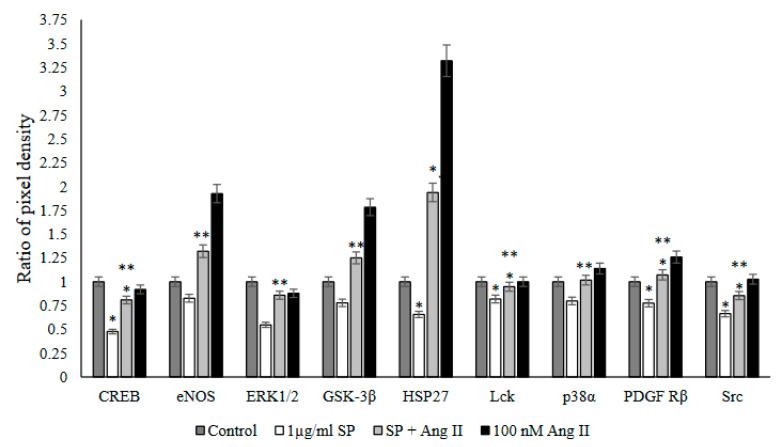 https://cdn.ncbi.nlm.nih.gov/pmc/blobs/cb8b/9368904/1e5b22cf610c/ijms-23-08669-g007.jpg