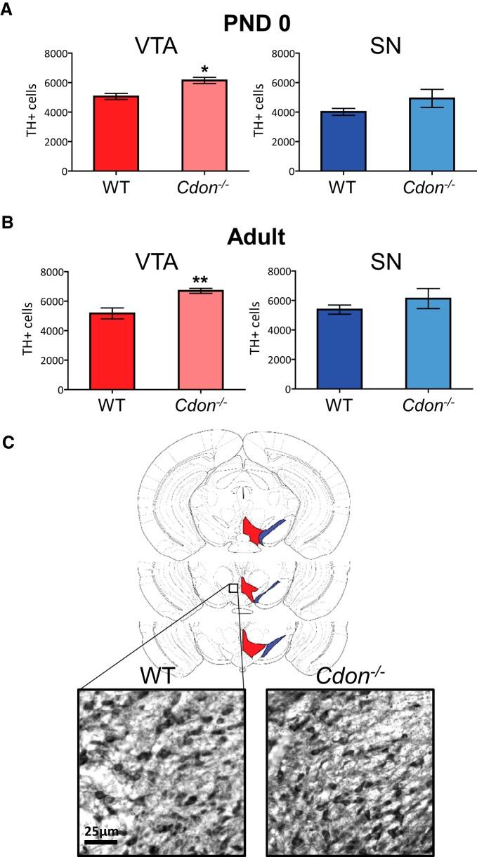 https://cdn.ncbi.nlm.nih.gov/pmc/blobs/cb8c/4942720/0f06ed923560/enu0031620820003.jpg