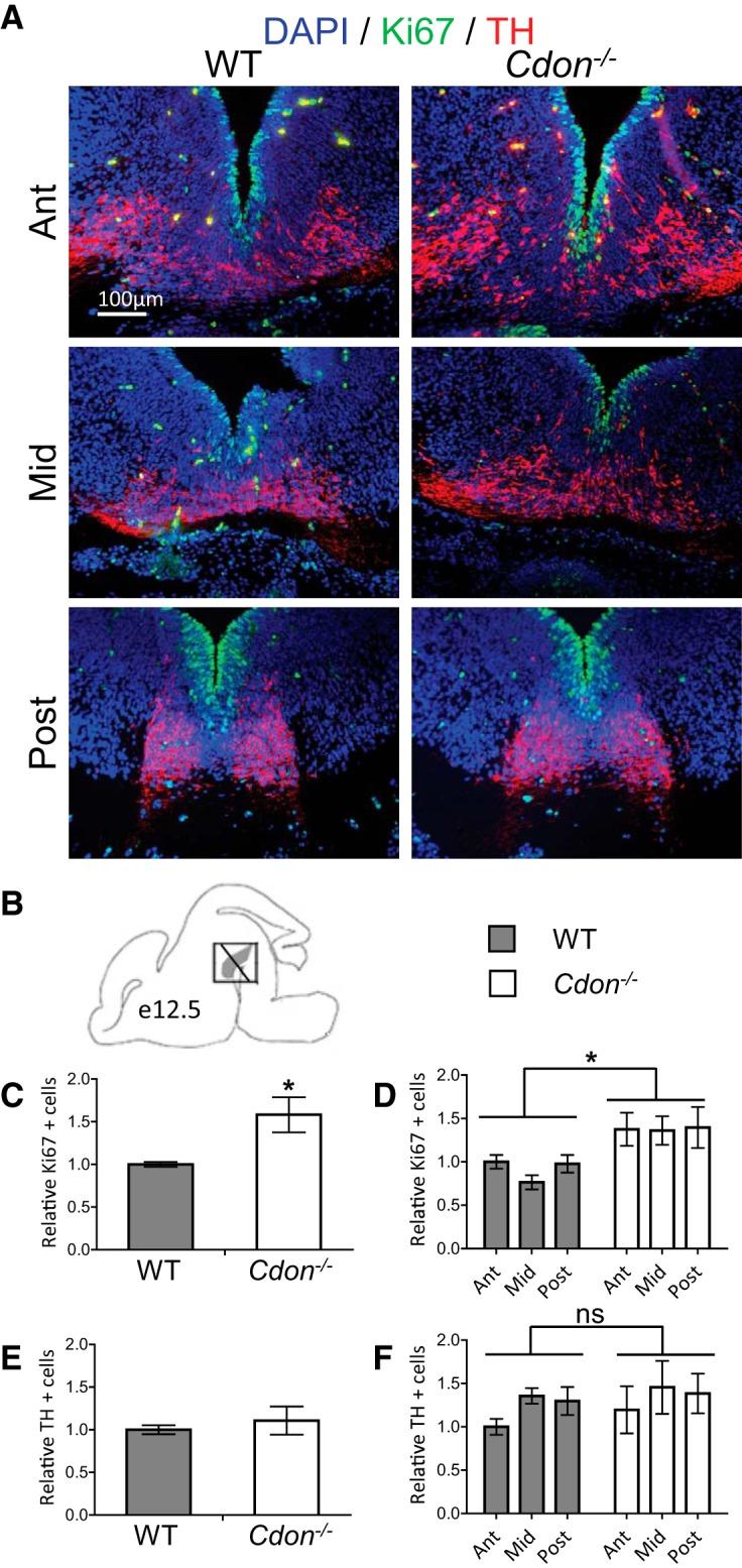 https://cdn.ncbi.nlm.nih.gov/pmc/blobs/cb8c/4942720/a7aaf465f971/enu0031620820002.jpg