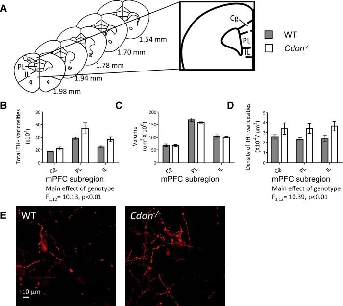 https://cdn.ncbi.nlm.nih.gov/pmc/blobs/cb8c/4942720/dc0df7a00171/enu0031620820005.jpg