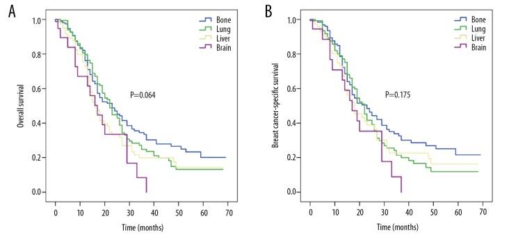 https://cdn.ncbi.nlm.nih.gov/pmc/blobs/cb8c/7034402/6b4c00d062c0/medscimonit-26-e920432-g005.jpg