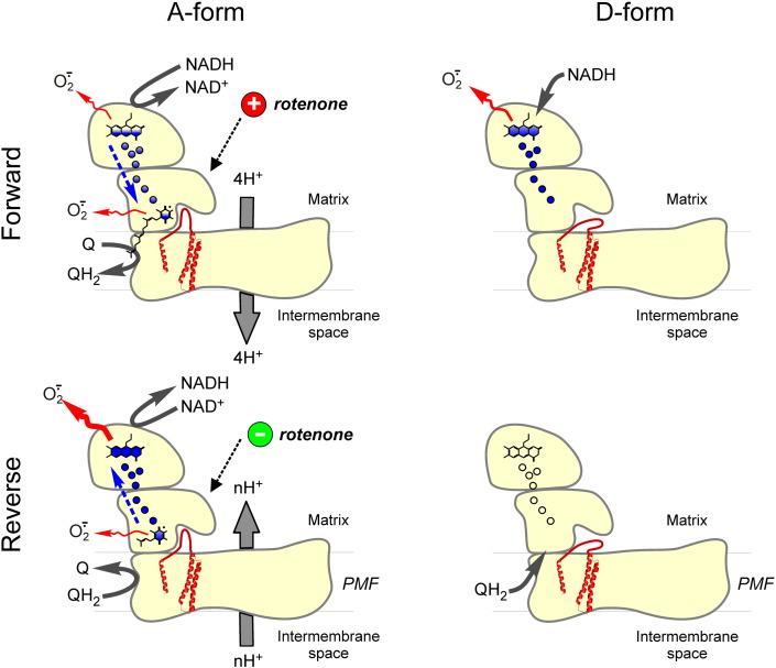 https://cdn.ncbi.nlm.nih.gov/pmc/blobs/cb8d/4893024/51ece30a9c37/gr2.jpg