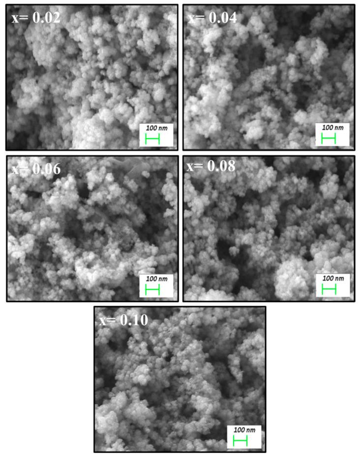 https://cdn.ncbi.nlm.nih.gov/pmc/blobs/cb8e/8150661/4a4067a8dd0f/biomolecules-11-00703-g002a.jpg