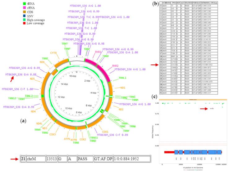 https://cdn.ncbi.nlm.nih.gov/pmc/blobs/cb8f/11843820/996fb18dc5ba/biotech-14-00009-g002.jpg