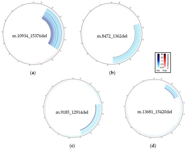 https://cdn.ncbi.nlm.nih.gov/pmc/blobs/cb8f/11843820/c0fed5c15290/biotech-14-00009-g001.jpg