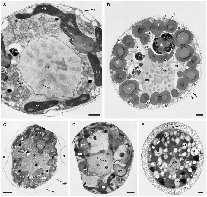https://cdn.ncbi.nlm.nih.gov/pmc/blobs/cb90/3540067/1a9c99d6d73c/pone.0054038.g002.jpg