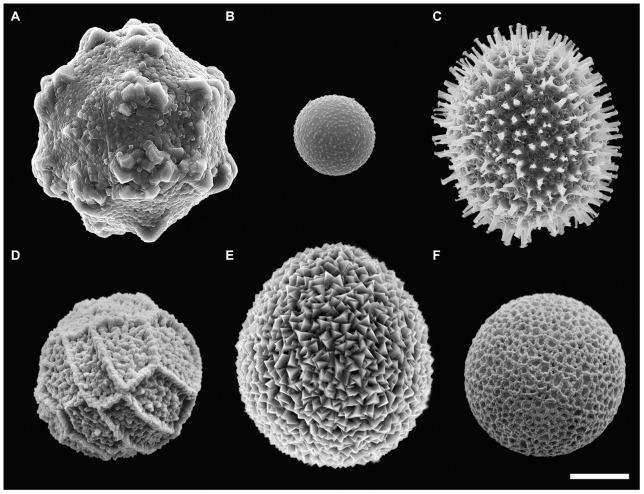 https://cdn.ncbi.nlm.nih.gov/pmc/blobs/cb90/3540067/502fc823cde0/pone.0054038.g001.jpg