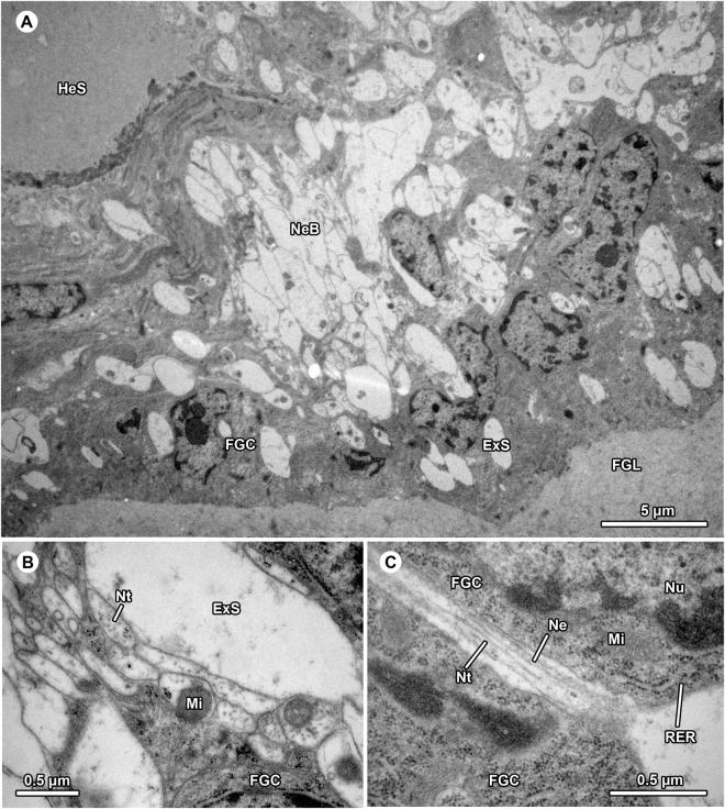 https://cdn.ncbi.nlm.nih.gov/pmc/blobs/cb90/5610179/0b34ff1a3c95/41598_2017_12555_Fig4_HTML.jpg