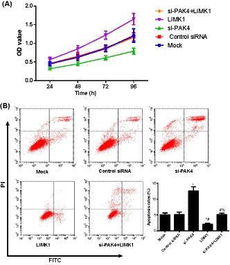 https://cdn.ncbi.nlm.nih.gov/pmc/blobs/cb90/7521293/0978689e4006/JCLA-34-e23362-g002.jpg