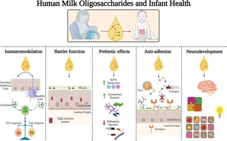 https://cdn.ncbi.nlm.nih.gov/pmc/blobs/cb92/10629584/68537eed2546/fuad056fig2.jpg
