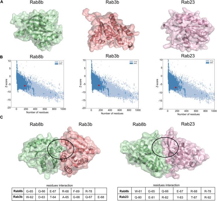 https://cdn.ncbi.nlm.nih.gov/pmc/blobs/cb94/7545478/8df1bc304e48/fgene-11-572058-g006.jpg