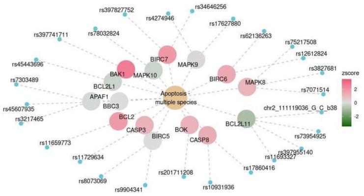 https://cdn.ncbi.nlm.nih.gov/pmc/blobs/cb95/10970146/1408cb6d4ec1/ijms-25-03344-g008.jpg