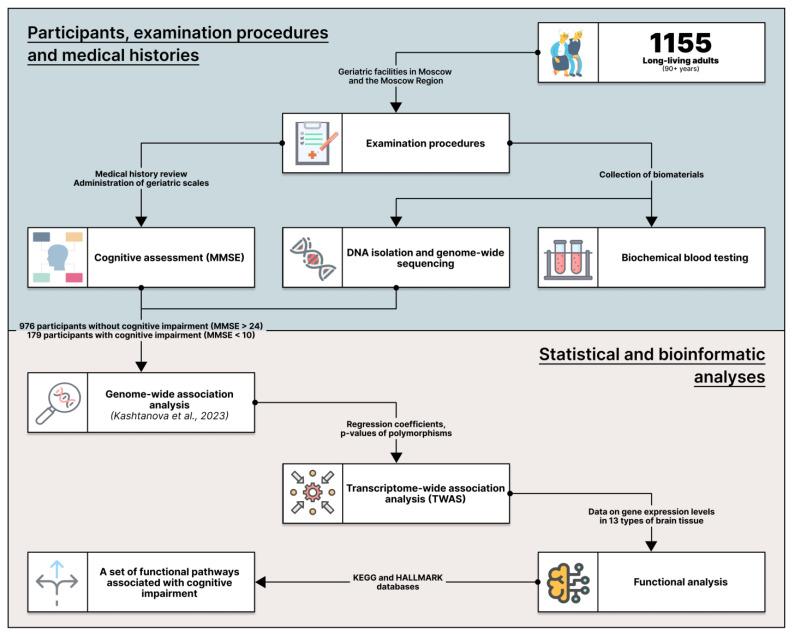 https://cdn.ncbi.nlm.nih.gov/pmc/blobs/cb95/10970146/47e4bb782d76/ijms-25-03344-g001.jpg