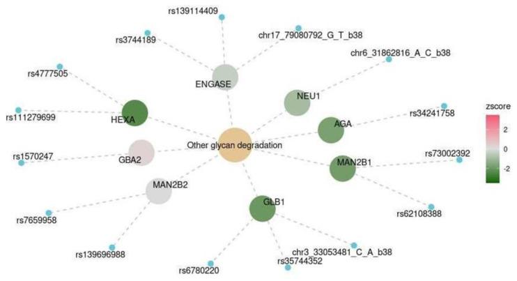 https://cdn.ncbi.nlm.nih.gov/pmc/blobs/cb95/10970146/5c049f6b1efa/ijms-25-03344-g006.jpg