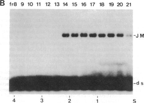 https://cdn.ncbi.nlm.nih.gov/pmc/blobs/cb98/297605/55452e34ec9a/pnas00281-0076-b.jpg