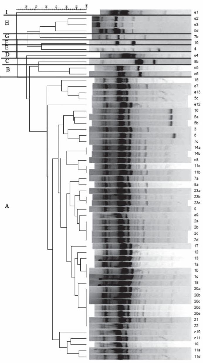 https://cdn.ncbi.nlm.nih.gov/pmc/blobs/cb99/3465537/abf6fcf6ccc3/IJM-4-124-g001.jpg