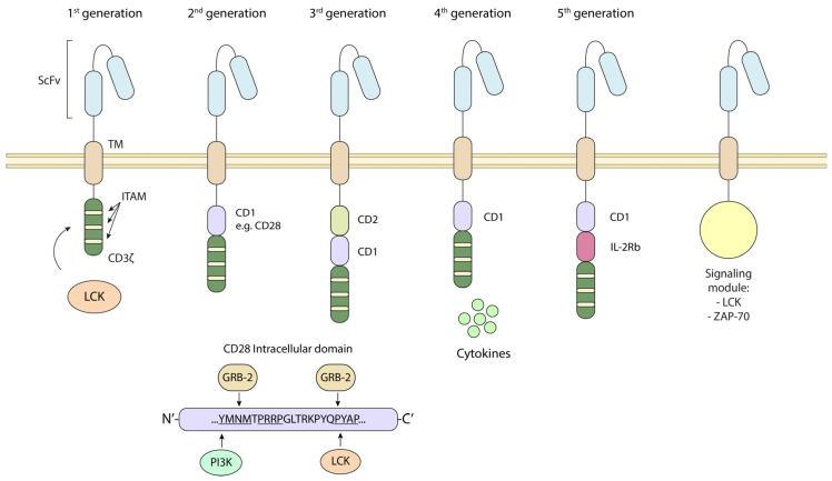 https://cdn.ncbi.nlm.nih.gov/pmc/blobs/cb9a/12383362/d373cfc26b43/biomolecules-15-01096-g003.jpg