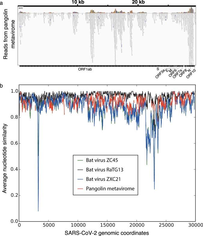 https://cdn.ncbi.nlm.nih.gov/pmc/blobs/cb9c/7203451/3268a2d77f07/mSphere.00160-20-f0001.jpg