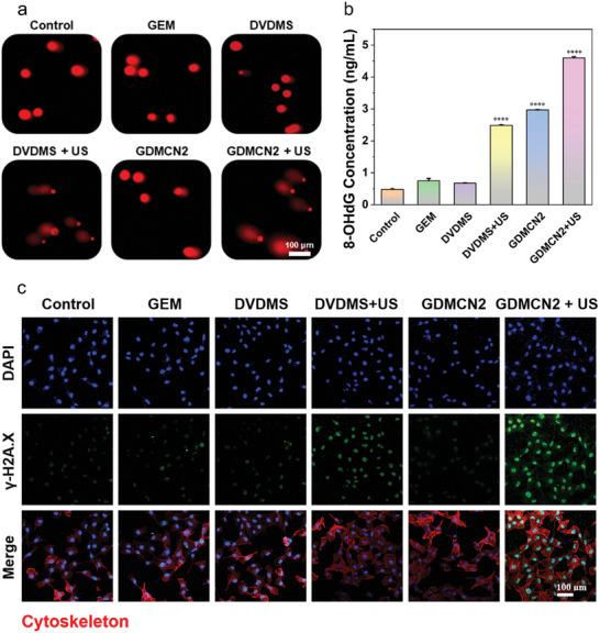 https://cdn.ncbi.nlm.nih.gov/pmc/blobs/cba3/10602529/51a71c8660c1/ADVS-10-2303872-g010.jpg