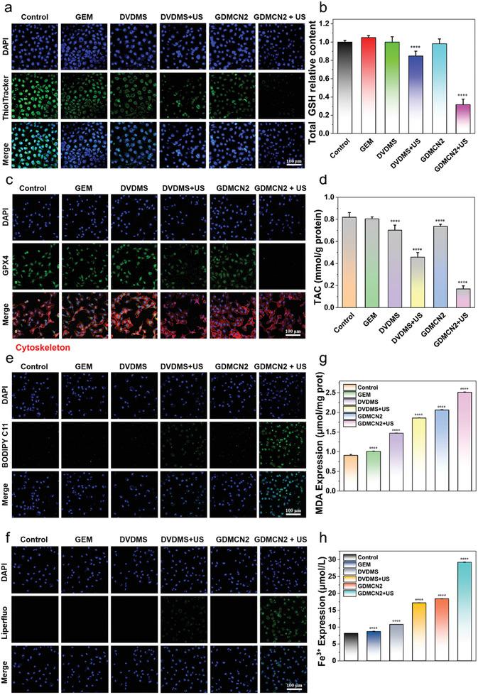 https://cdn.ncbi.nlm.nih.gov/pmc/blobs/cba3/10602529/b15c64c723c9/ADVS-10-2303872-g009.jpg