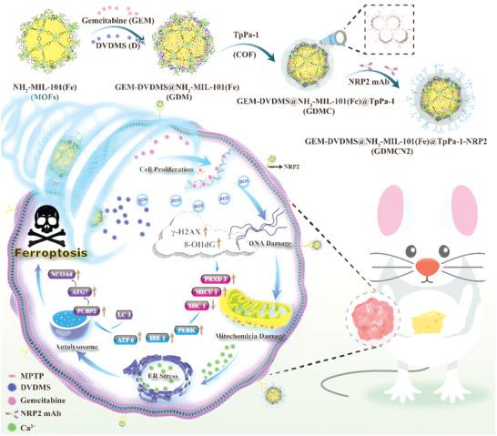 https://cdn.ncbi.nlm.nih.gov/pmc/blobs/cba3/10602529/cae55e2988b5/ADVS-10-2303872-g011.jpg