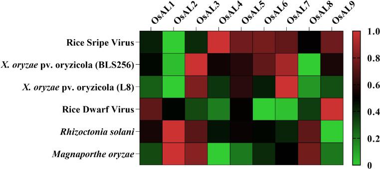 https://cdn.ncbi.nlm.nih.gov/pmc/blobs/cba3/11217604/4e78bd662ef9/gr13.jpg
