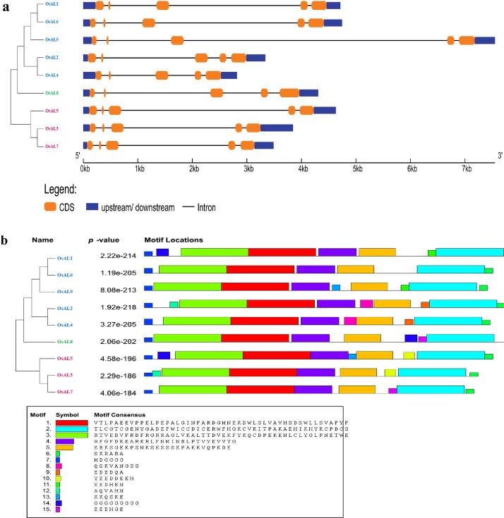 https://cdn.ncbi.nlm.nih.gov/pmc/blobs/cba3/11217604/b1d336ef5fef/gr3.jpg