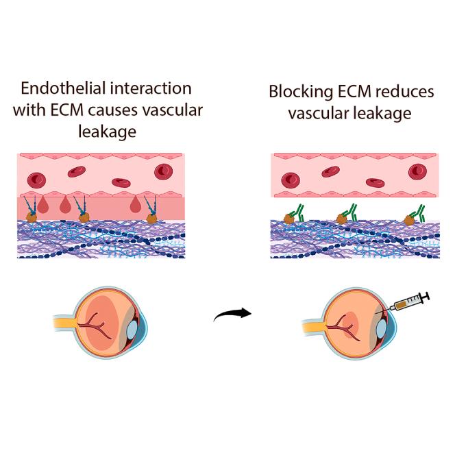 https://cdn.ncbi.nlm.nih.gov/pmc/blobs/cba4/11897753/1ea58c660e55/fx1.jpg