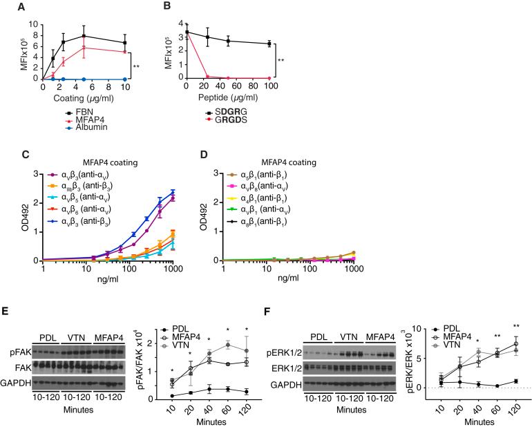 https://cdn.ncbi.nlm.nih.gov/pmc/blobs/cba4/11897753/c5db511ccdd5/gr2.jpg